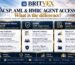 Britvex UK professional credentials comparison showing Companies House ACSP, HMRC anti-money laundering supervision and HMRC Agent Services Account